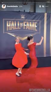 The official account for laurer responded to the. Nikki And Brie Bella Inducted Into 2021 Wwe Hall Of Fame People Com