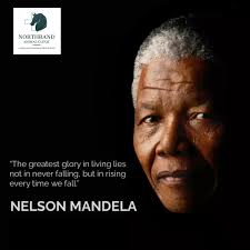 ✨Happy Vet Nurses Day! ✨ Today, NRAC celebrates the incredible dedication  and compassion of our veterinary nurses, Sr. Kate Smith and Sr. Nikita Ware.  Your tireless commitment to the well-being of our