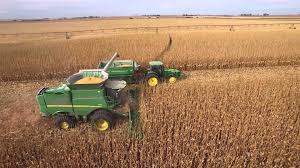 1,027 free images of corn harvesting. Why South Africa S Maize Prices Remain High While There S A Large Harvest Wandile Sihlobo