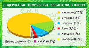 Результат пошуку зображень за запитом "химический состав организмов"