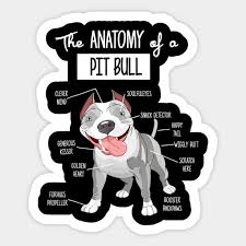 Pin Auf Stickers