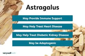 Image result for Astragalus