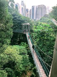 Whether you are new in the city, staying in town for the holidays or just looking for something different to do on the weekend, you will this comprehensive list of children's activities in kl and surroundings helpful. Things To Do At The Kl Tower With Kids Jet Lagged Mama