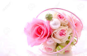 Bildergebnis für beautiful roses
