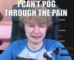 Pin By Blue On Streamers My Dream Team Memes Dream Team