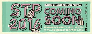 Image result for Party Fest 2016