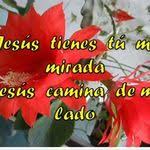 Epingle Sur Gotas De Rocio