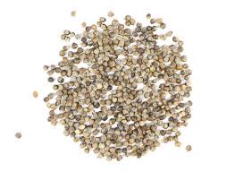 Image result for Vitex strickeri