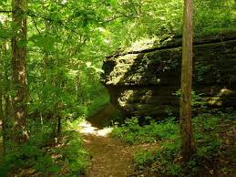Burr Oak Woods Trails Burr Oak Oak Wood Glade