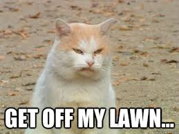 Image result for get off my lawn