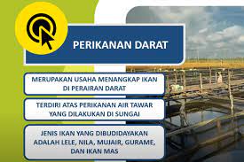 Contoh Jenis Usaha Kegiatan Ekonomi Di Sekitar Pantai Halaman All Kompas Com