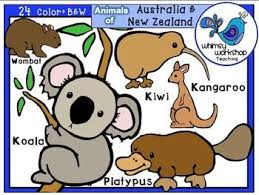 Animals From Australia And New Zealand 24 Graphics New Zealand Kids Camping Party Summer Camp Crafts