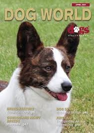 If you are looking for puppy training classes or private training for the san jose, mountain view, palo alto ca area, we can help. Dog World Magazine April 2021 By Dogs Queensland Issuu