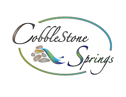 Her passion is educating others on healthy balance. Blog Cobblestone Springs Retreat Center