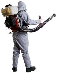 No worries of harmful fumes or dangerous poisons & chemicals coming in contact with you and your family. When Is The Best Time To Get A Home Sprayed For Pests Arrive