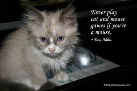 Beautiful Cat Quotes Sayings Quotes Don Addis Cat Quotes Funny Cute Cats And Kittens Cats And Kittens
