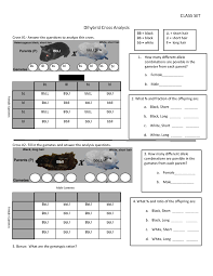 A male rabbit with the genotype ggbb is crossed with a female rabbit with the genotype ggbb the square is set up below. Aptitude Dihybrid Cross Worksheet Answers Dihybrid Cross Worksheet Dihybrid Cross Aptitude