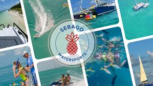 Image result for Selago barabei