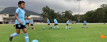 These skills encompass ground skills, handling skills and evasion skills. Skills Training Program Sydney Fc