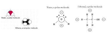 The δen of carbon and hydrogen is ~0.35, too weak to be considered a true polar bond. Methane Polar Or Nonpolar Chemical Polarity