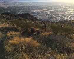 This trail has the greatest elevation gain of any everest from base camp is only 800 feet more elevation difference than the cactus to clouds. Cactus To Clouds To Cactus C2c2c Trvrs Outdoors Trvrs Creative