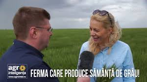 Check spelling or type a new query. Ferma Unde Se Produce SÄƒmanÈ›Äƒ De Grau Youtube