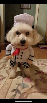 15 yr old MASON W. in Mobile, Al has now officially lost his sight in his  eye💔 from bully at McGill Toolen High School #MOBILE #HEARTBREAKING  #ALABAMA #WEAREHUMAN #fyp