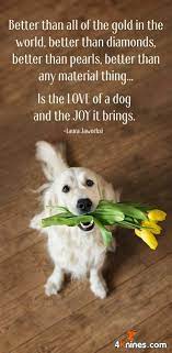 We did not find results for: I D Rather Get A Puppy As An Anniversary Gift Than Flowers That Fade In A Week Or Chocolates That Let S Be Real Will Be Gone In Dog Quotes Animal Quotes Dogs