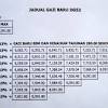 Januari 1997, suruhanjaya perkhidmatan awam malaysia telah mengadaptasi pengurusan elektronik dalam perkhidmatannya apabila sistem pengambilan berkomputer iaitu sistem guru bahasa gred dg41. 1