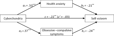 Health anxiety emerged as a general theme across reddit through . Self Esteem And Cyberchondria The Mediation Effects Of Health Anxiety And Obsessive Compulsive Symptoms In A Community Sample Springerlink