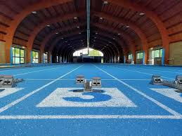 Il caso della palestra di Brembate Sopra, la Polisportiva: Speriamo in una  diversa soluzione - BergamoNews