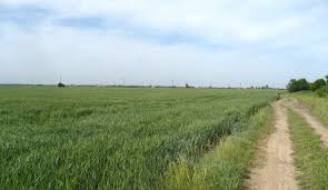 Atat legea 165/2013 cat si legea 164/2014 le obliga la despagubiri in numerar. Legea 165 2013 AcoperÄƒ Escrocheriile FÄƒcute De Ads Cum Se Dau Terenurile Altora Si Nu Celor IndreptÄƒÅ£iÅ£i Inginerii Financiare Si O Lege Care BlocheazÄƒ Restituirile