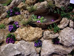 Naturstein Trockenmauer Bepflanzen Geignete Pflanzen Fur Mauerfugen Steinmauer Bepflanzen Trockenmauer Garten Bepflanzen
