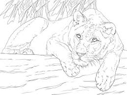 Free, printable mandala coloring pages for adults in every design you can imagine. Lying Lioness Coloring Page From Lions Category Select From 20946 Printable Crafts Of Cartoon Lion Coloring Pages Coloring Pages Free Printable Coloring Pages