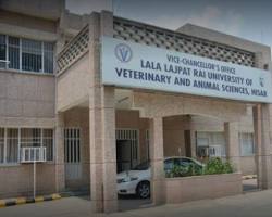 Image of Classrooms at Lala Lajpat Rai University of Veterinary & Animal Sciences