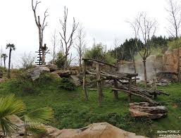 Check spelling or type a new query. Les Installations Des Pandas A Beauval