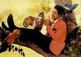 Bobby Day albums and discography | Last.fm