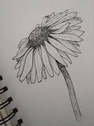 Art Beautiful Black And White Daisy Drawing Flower Pen Real Sketch Tumblr Other Pinterest Bea Flower Sketch Pencil Flower Sketches Daisy Drawing