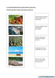 Kawasan tadahan air bagi beberapa batang sungai seperti sungai perak dan sungai pahang. Kepentingan Bentuk Muka Bumi Worksheet