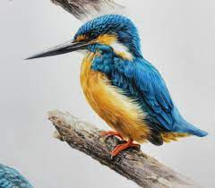 Domestic And Wild Animals Pencil Drawings Pencil Drawings Of Animals Pencil Drawings Of Nature Animal Drawings