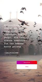 Merpati putih is different than any martial art ever seen anywhere before it's public release. 15 Ide Quote Di 2021 Kata Kata Motivasi Kata Kata Indah