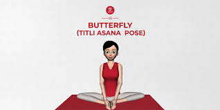 Butterfly Pose Titli Asana Steps Benefits Precautions