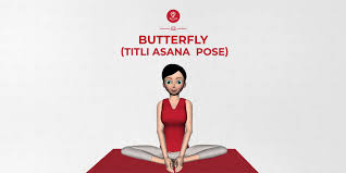Many students will automatically go into a tight butterfly, because of their yang training … they should be encouraged to move the feet away, forming a diamond shape with the legs. Butterfly Pose Titli Asana Steps Benefits Precautions