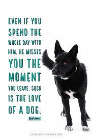 even i you spend the whole day with him dog dog quotes inspirational quotes funny quotes life quotes dogquotes dog quotes funny dog quotes funny dogs