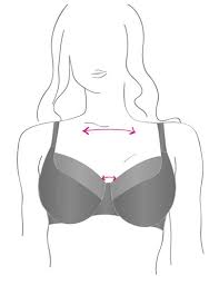 Bra sizing quiz by ruby ribbon. Bra Fit Guide Lingerie M S