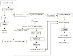 Flow Chart For The Production Of Bioethanol And Byproducts
