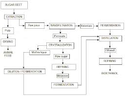 flow chart for the production of bioethanol and byproducts