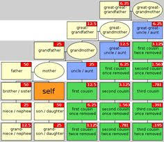 36 best genealogy relationship charts images genealogy