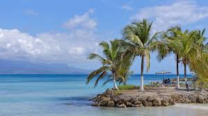 The new and affordable direct flights from the usa cut the time of travelling in half. Motorcycle And Scooter Rentals In Guadeloupe Guadeloupe