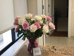 White roses symbolized yorkshire and red roses symbolized lancaster. Can You Believe These Flowers The Rush Limbaugh Show